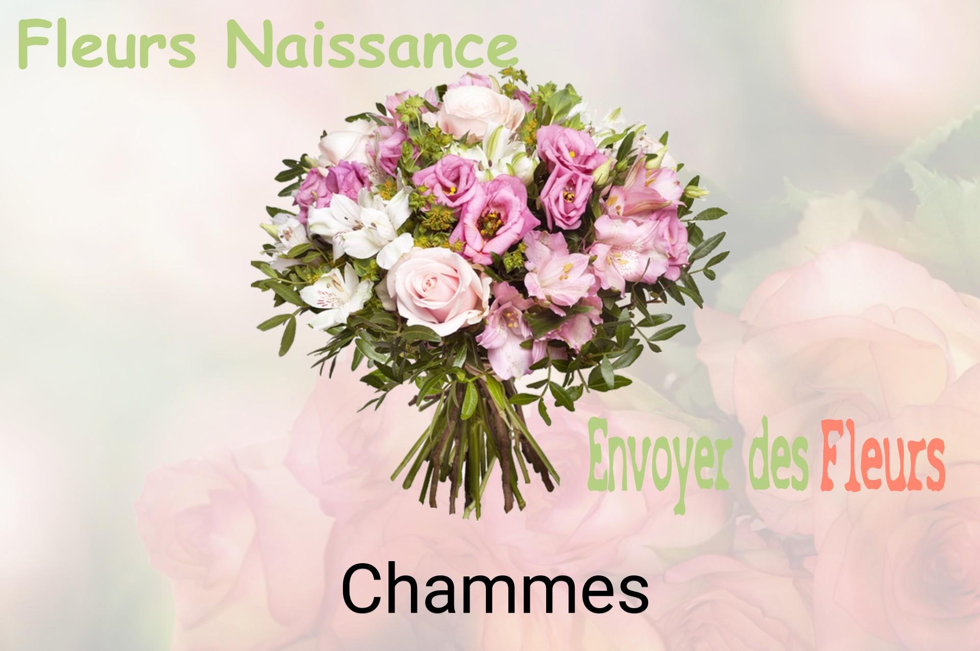 Bouquet de fleurs de naissance livré à Chammes